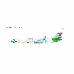 China Southern Airlines Boeing 737-800/w (NG Models 1:200)