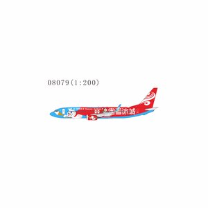 Hainan Airlines Boeing 737-800/w (NG Models 1:200)
