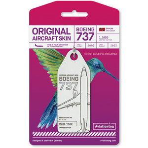 Caribbean Airlines - Boeing 737 (Aviationtag n.a.)