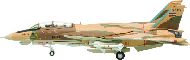 Iranian Air Force Grumman F-14A Tomcat (Hogan 1:200)