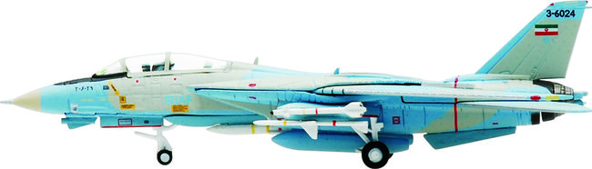 Iranian Air Force Grumman F-14A Tomcat (Hogan 1:200)