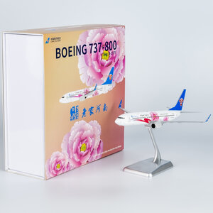 China Southern Airlines Boeing 737-800/w (NG Models 1:200)