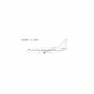 US Air Force Boeing C-40B (737-700 BBJ) (NG Models 1:200)