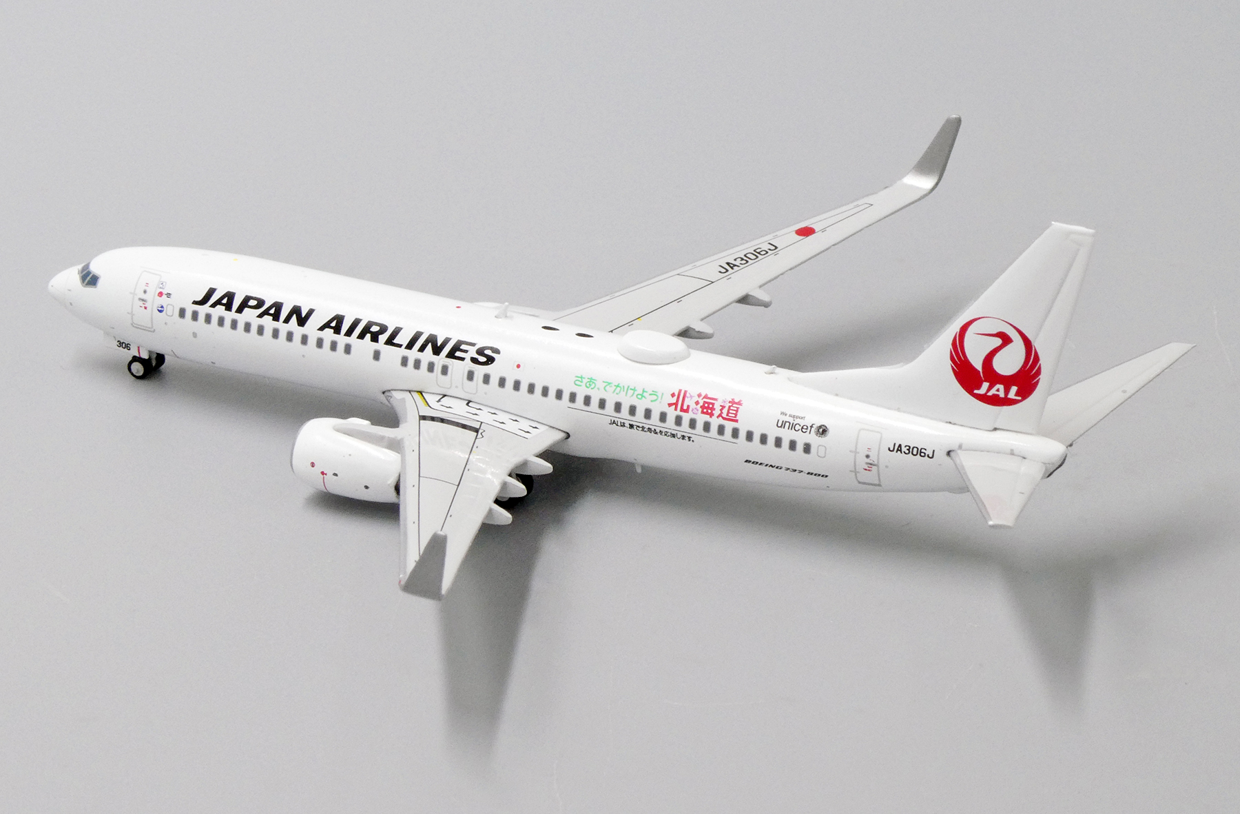 Japan Airlines Boeing 737-800