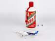 China Southern Airlines Airbus A350-900 (NG Models 1:400)