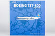 China Southern Airlines Boeing 737-800/w (NG Models 1:200)