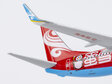 Hainan Airlines Boeing 737-800/w (NG Models 1:400)