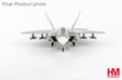 US Air Force F-22 (Hobby Master 1:72)