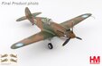 Flying Tigers P-40B Warhawk (Hobby Master 1:72)