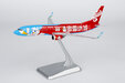 Hainan Airlines Boeing 737-800/w (NG Models 1:200)