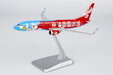 Hainan Airlines Boeing 737-800/w (NG Models 1:200)