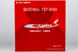 Hainan Airlines Boeing 737-800/w (NG Models 1:200)