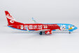 Hainan Airlines Boeing 737-800/w (NG Models 1:200)