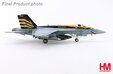US Navy F/A-18E (Hobby Master 1:72)