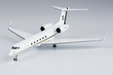 Private Gulfstream G-V (NG Models 1:200)