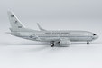 USA - Marines Boeing C-40A Clipper (737-7AFC)/w (NG Models 1:400)