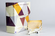 Etihad Airways Boeing 787-9 (NG Models 1:400)