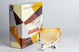 Etihad Airways Boeing 787-9 (NG Models 1:400)