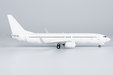 Blank Model Boeing 737-800/w (NG Models 1:200)