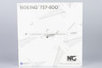 Blank Model Boeing 737-800/w (NG Models 1:200)
