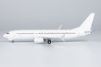 Blank Model - Boeing 737-800/w (NG Models 1:200)