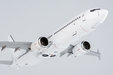 Blank Model Boeing 737 MAX 8 (NG Models 1:200)