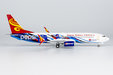 Hainan Airlines Boeing 737-800/w (NG Models 1:200)