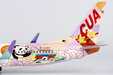 China United Airlines Boeing 737-800/w (NG Models 1:200)