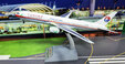 China Yunnan Airlines - Boeing 767-3W0ER (Inflight200 1:200)